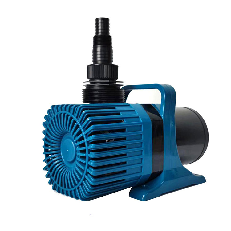 Swimming Pool Pump